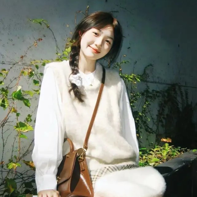 ST 红白的搜查档案